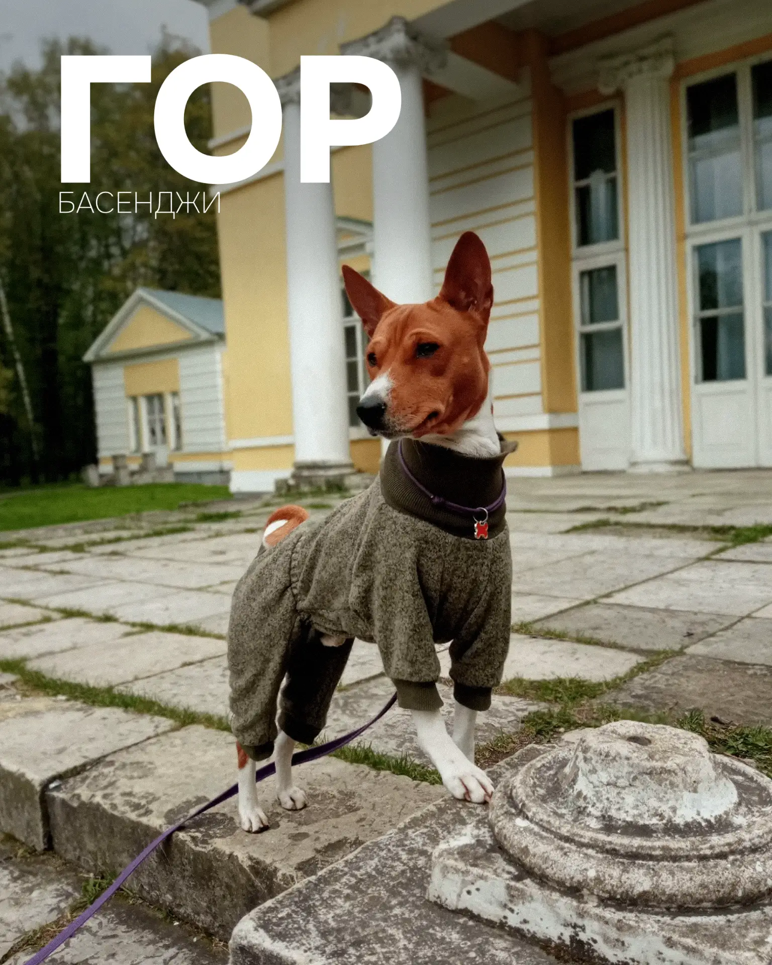 Всем отличного настроения, друзья! 🕺