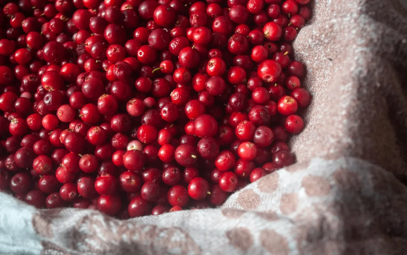 🍒 Клюква: кому её стоит ограничить