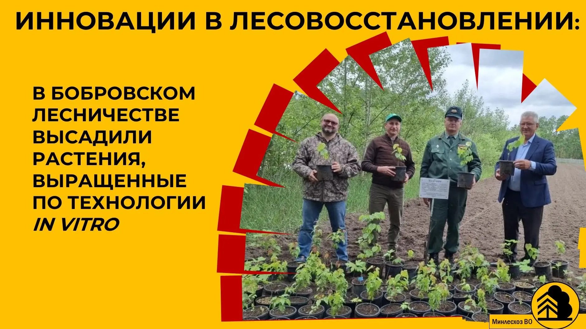 🌱 Уникальный проект стартовал на территории Бобровского лесничества. 🔬 Эксперименталь...
