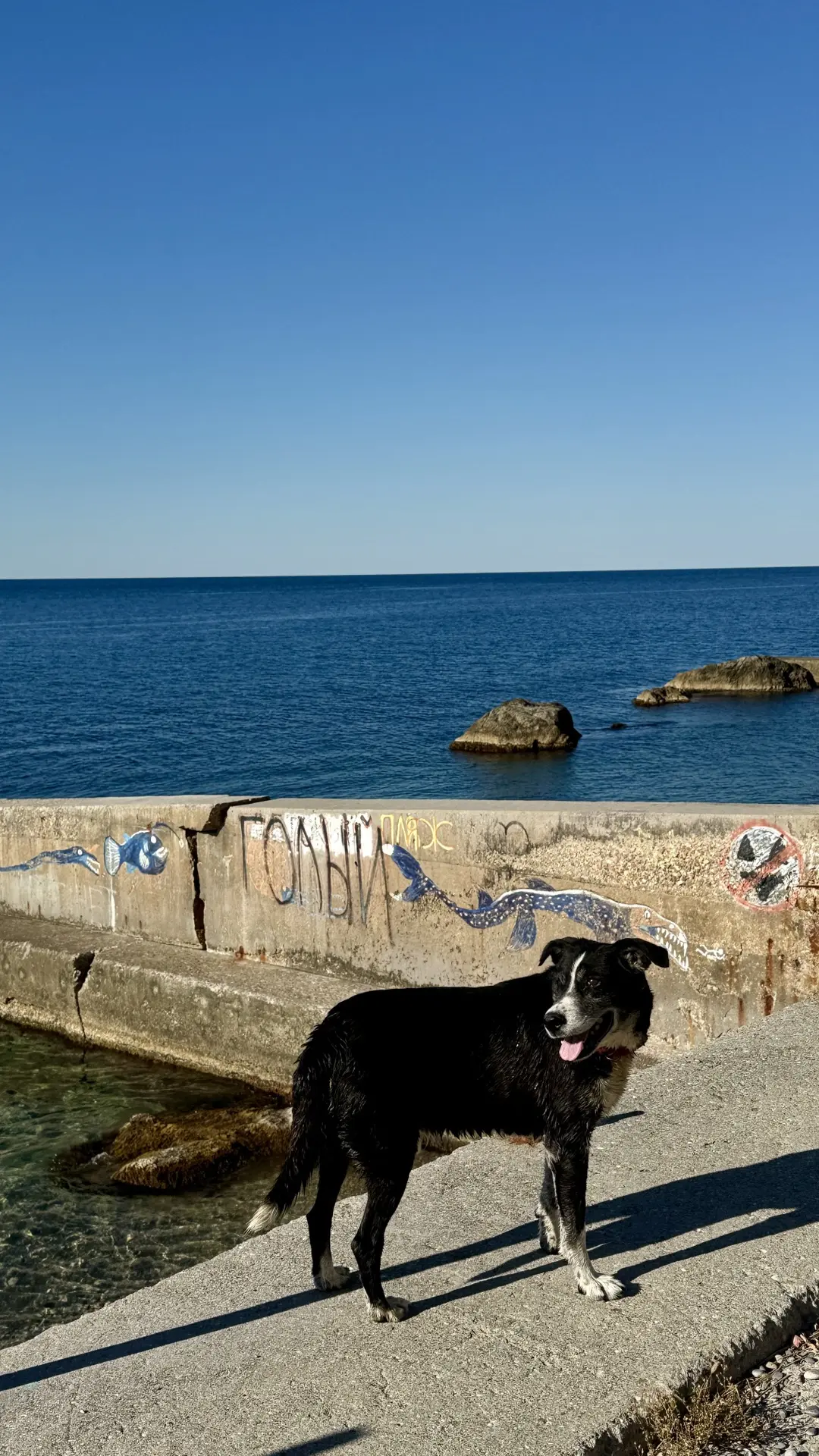 🌊 Прогулка по пляжам Понизовки