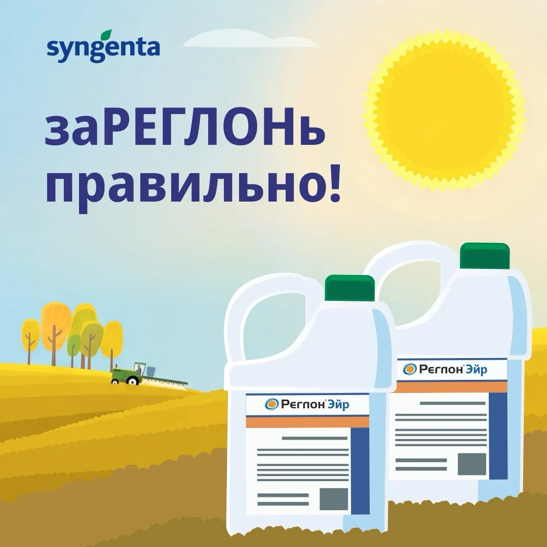 #десикация