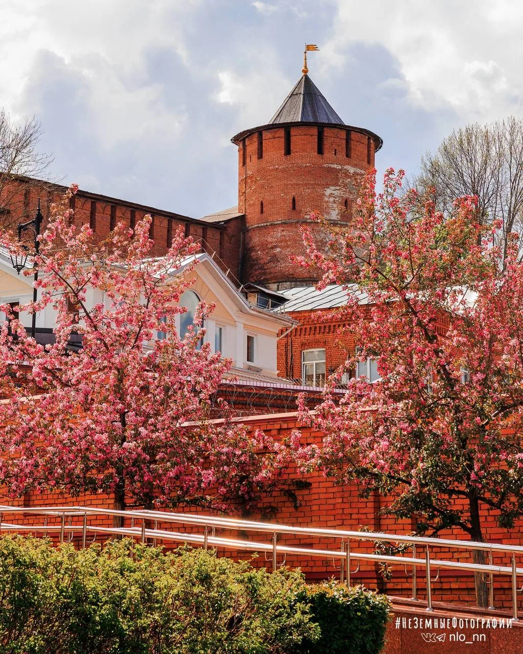 Город цветет 😍  📸 Никита Духник