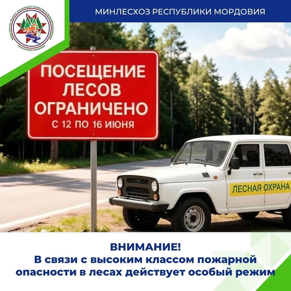 С 12 по 16 июня 2026 года посещение лесов ограничено. Категорически запрещается:
⁣
❌Входить в лес.
❌