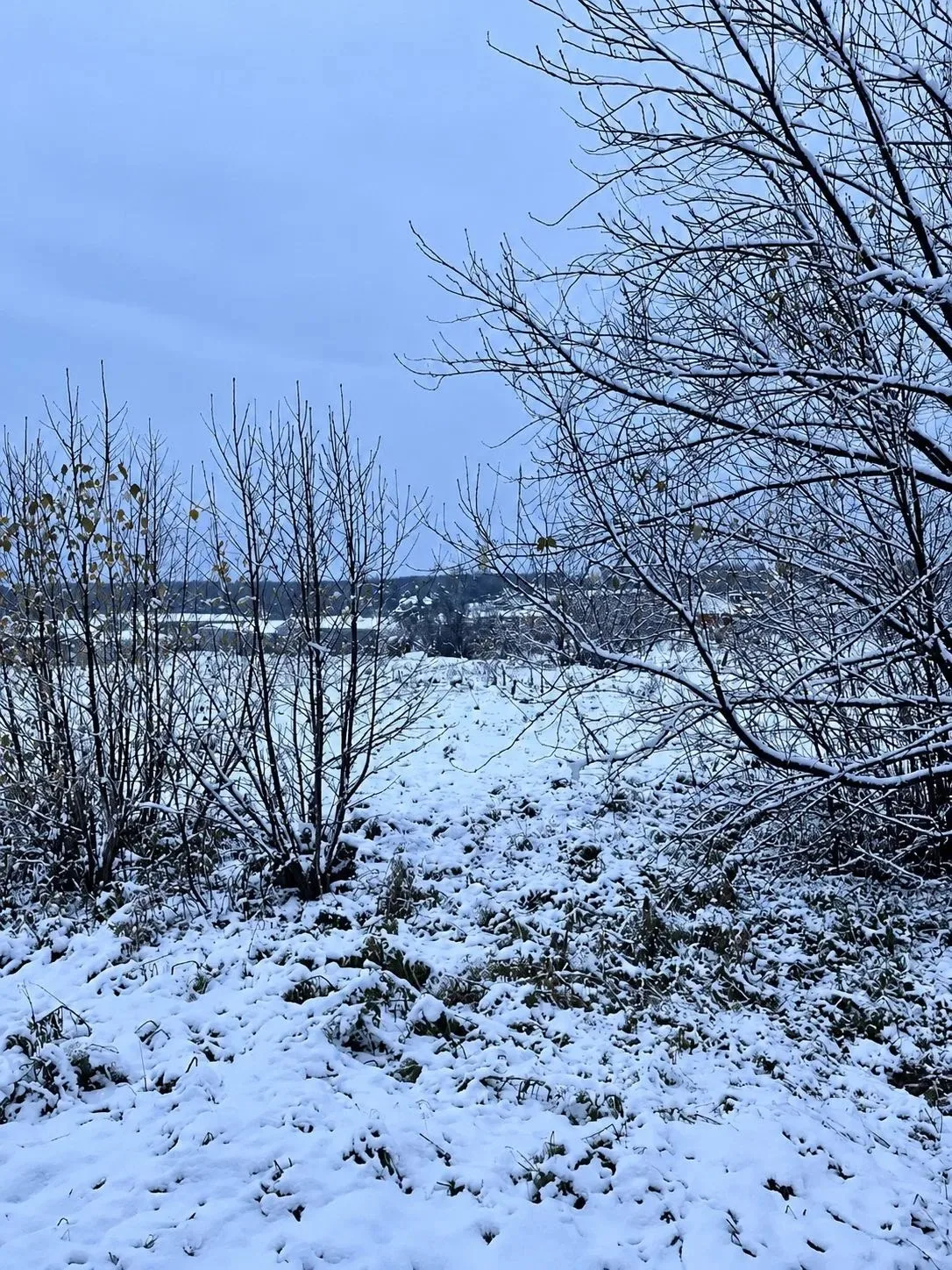 Первый снежок,Соликамск,Губаха