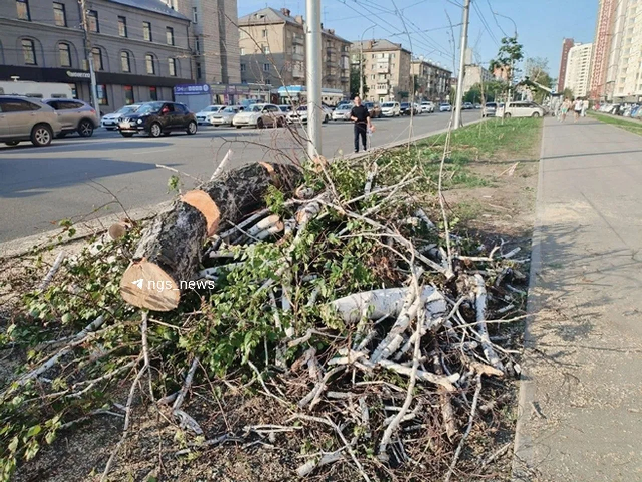 Больше сотни деревьев вырубили на Дуси Ковальчук.

Местная жительница Ольга рассказала, что она звон