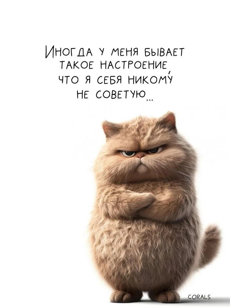Я капельку ТюТю

       ТЫК СЮДА🖍️
 👉 ПОДПИШИШЬ👈