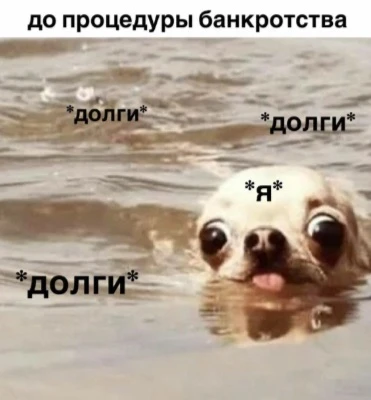 Пытались выплыть и решить вопрос с кредитами... но не получилось 😥?