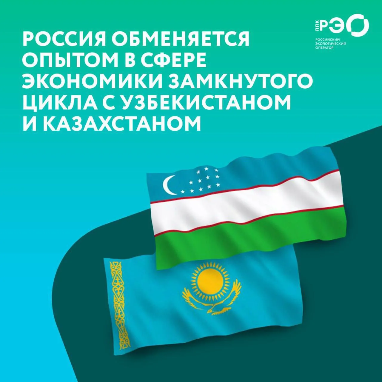 Россия обменяется опытом в сфере циклической экономики с зарубежными коллегами