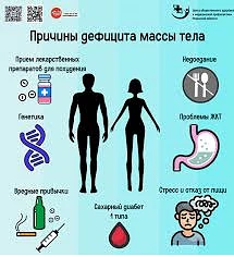 ПРОФИЛАКТИКА ДЕФИЦИТА МАССЫ ТЕЛА
Профилактика дефицита массы тела у жителей требует комплексного под