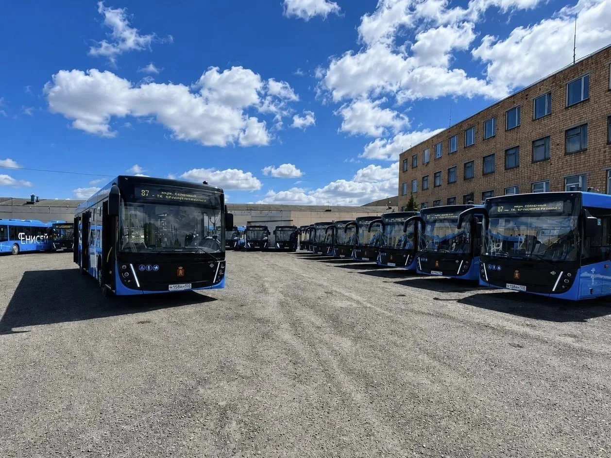 🚍 55 новых газовых автобусов уже на маршрутах Красноярска!