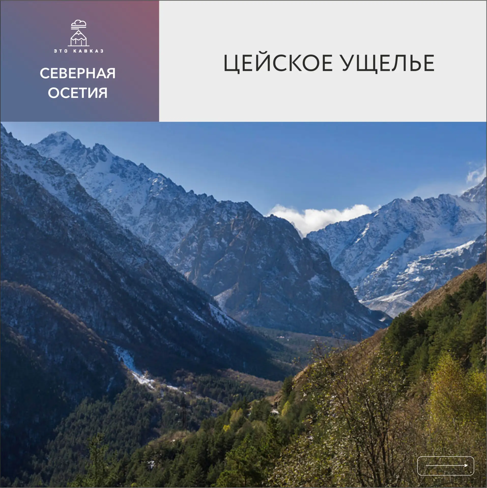 Цейское ущелье — пожалуй, самый зеленый и солнечный уголок горной Осетии. Здесь изумрудные леса сосе
