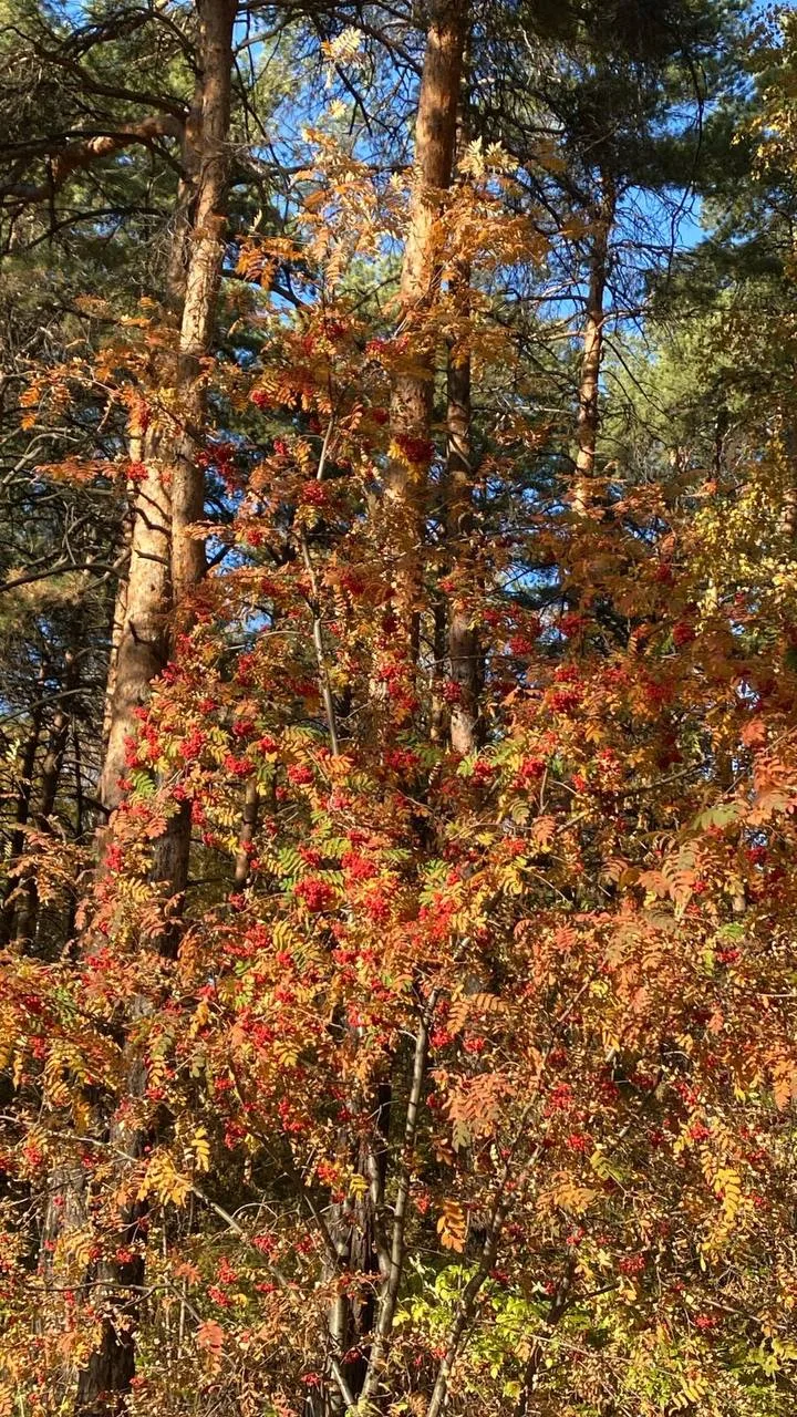 Доброе утро 🧡