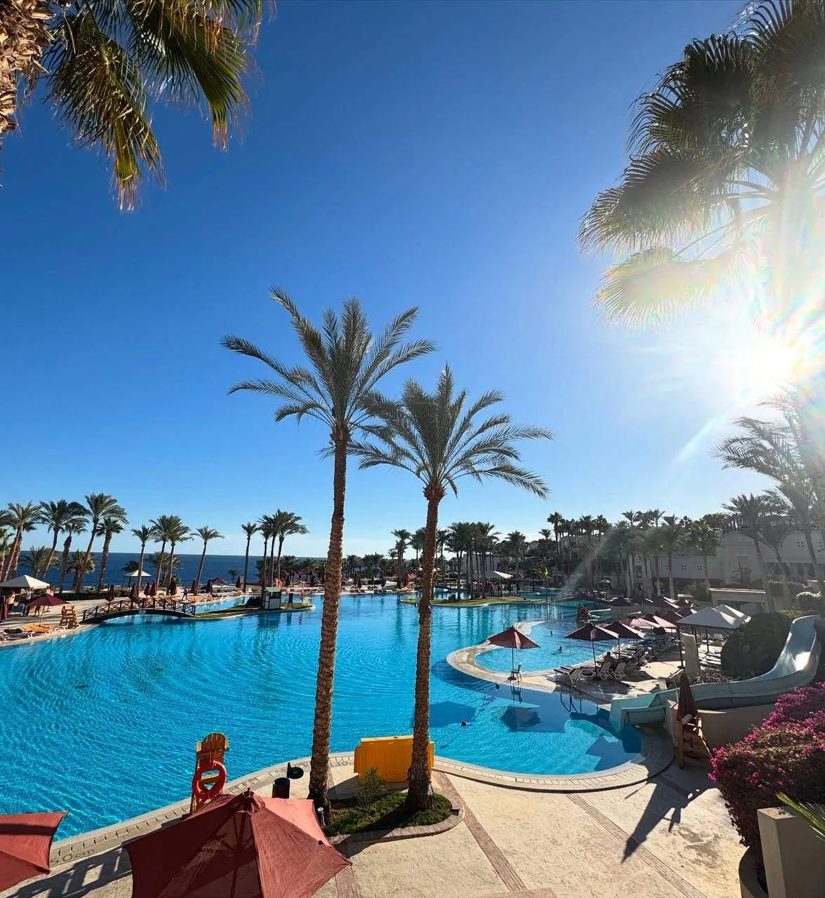 Grand Rotana Resort & Spa 5🌟