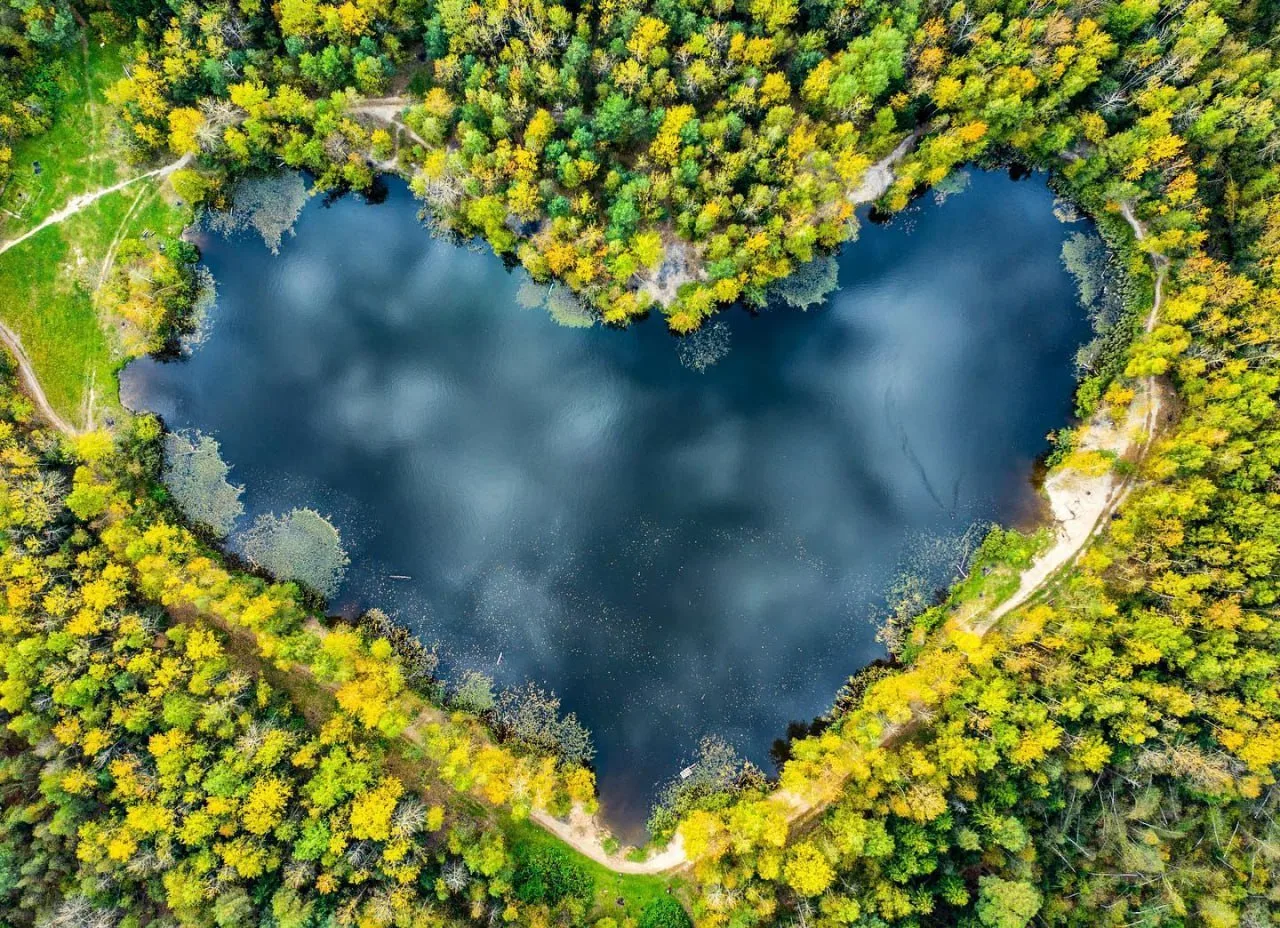 Озеро Красное под Балашихой 🌿