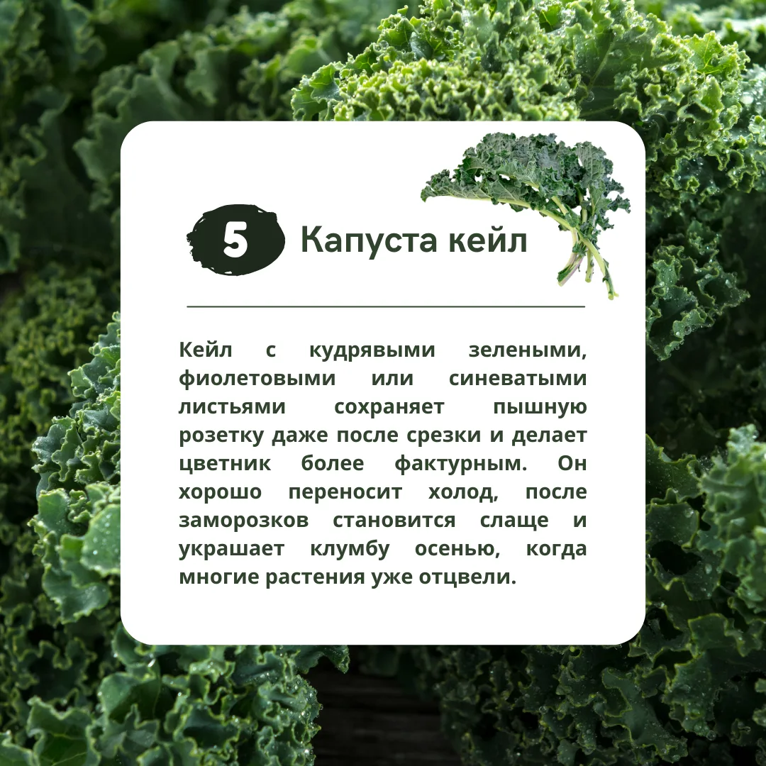 Изображение 6 к публикации «Идеи Вашего Дома»