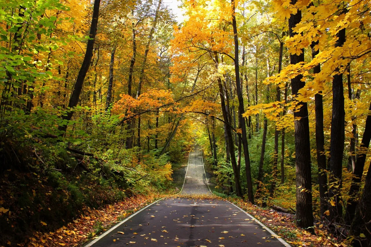 🍁 И начнётся сентябрь, как кино: