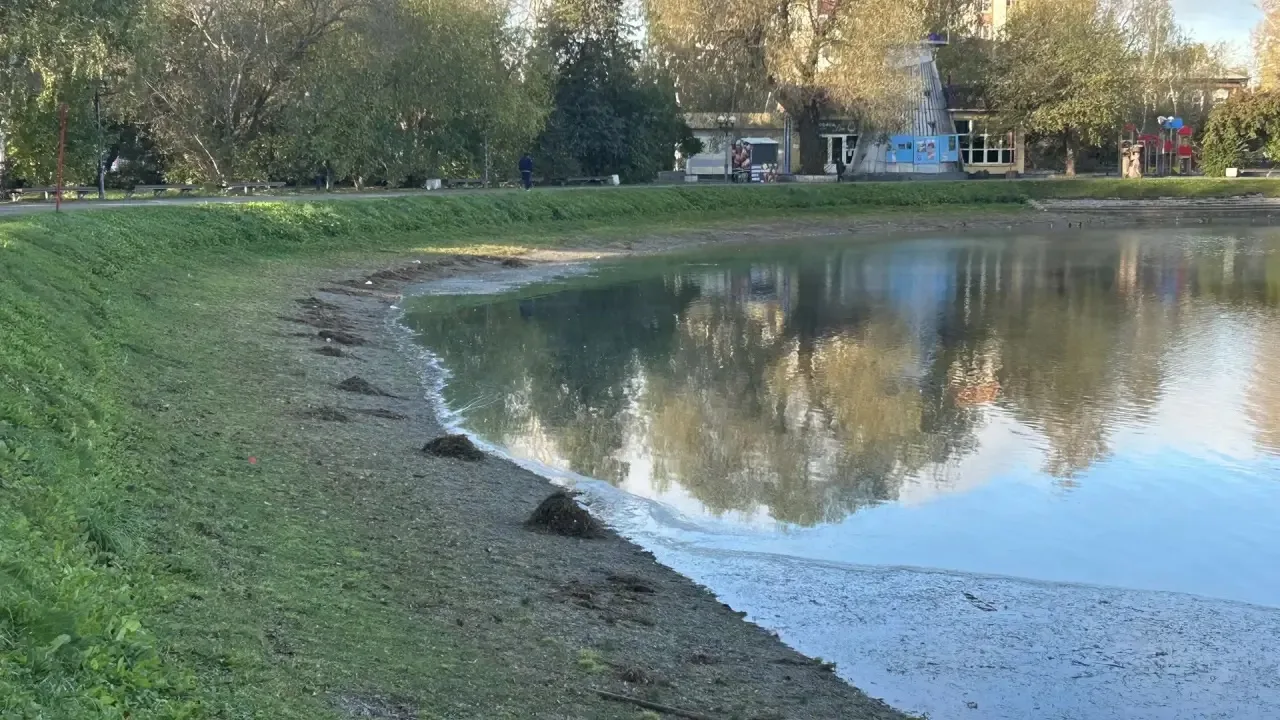 Приятно удивлен! Приехал утром на Белое озеро, а там в выходные кто-то ответственно пор...