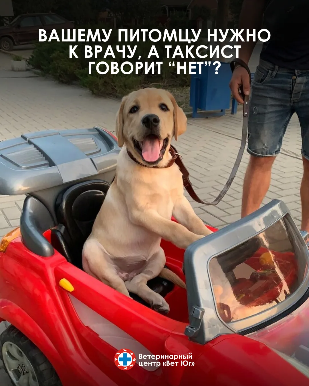 Наше зоотакси поможет доставить вашего питомца в клинику! 🚑