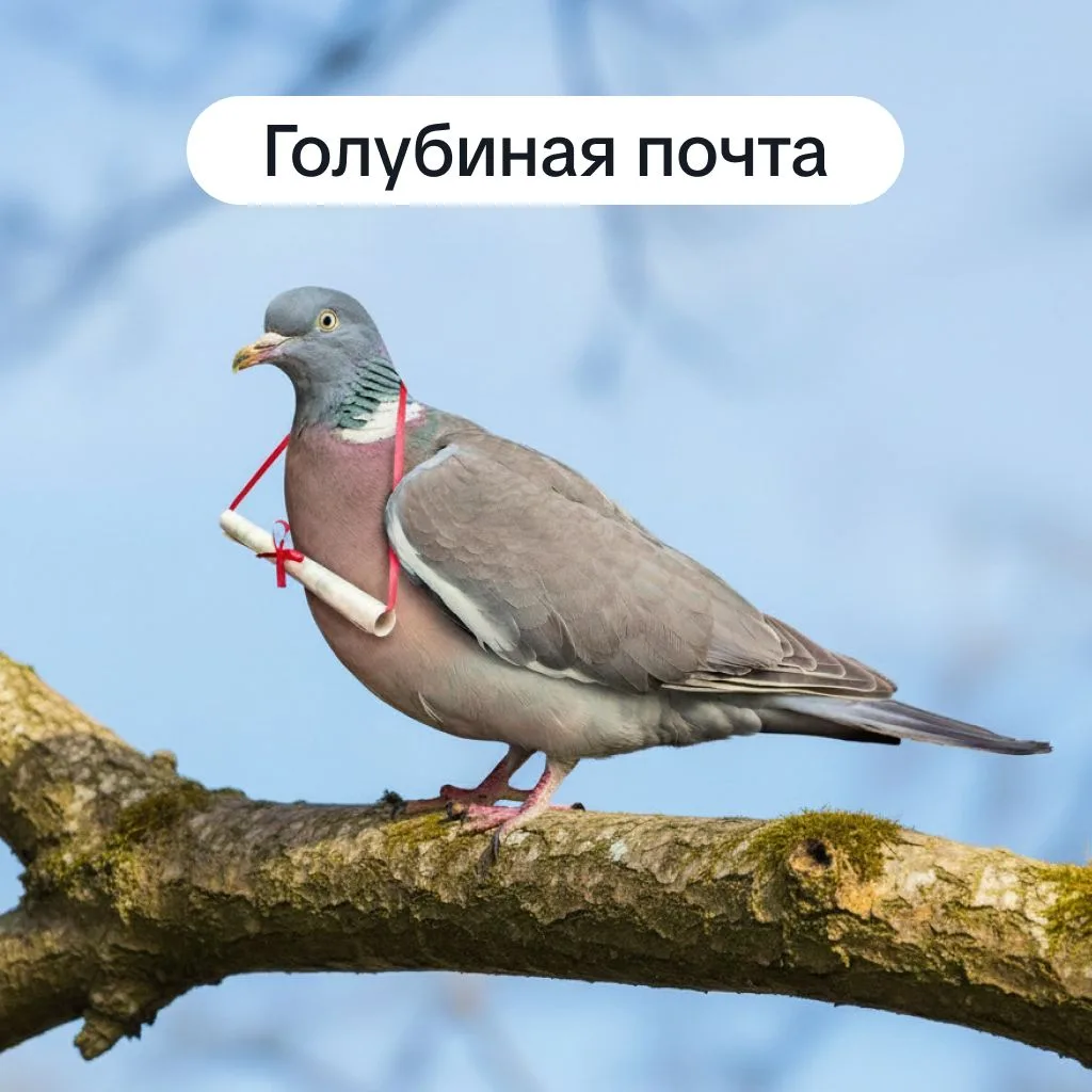 Когда старые технологии снова пригодились  В 2026 году, когда привычные средства связи могут отказат
