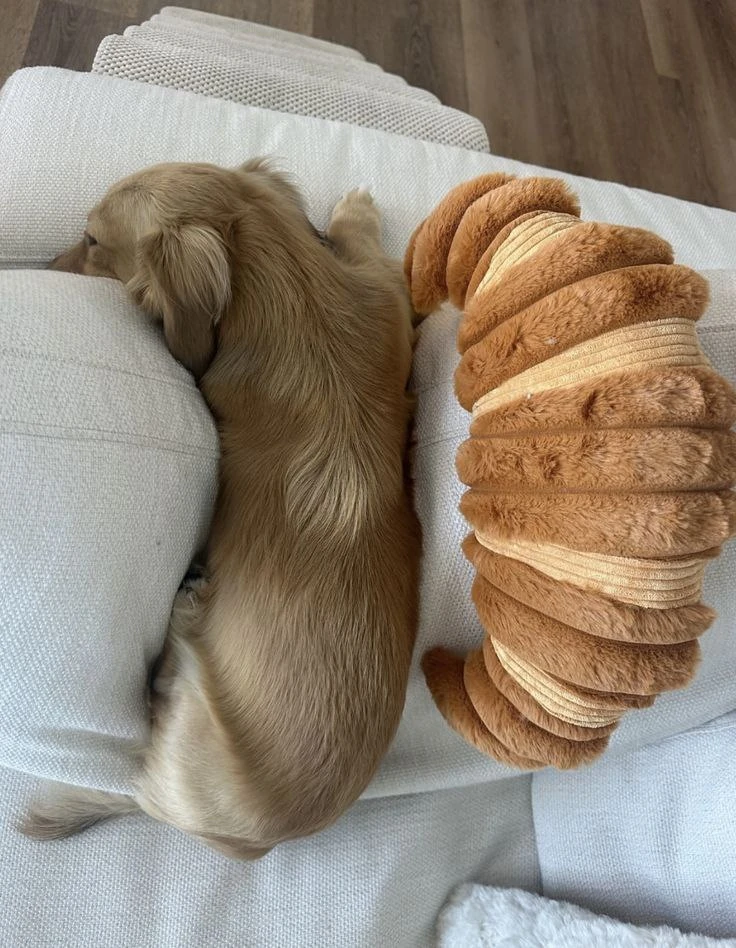 🥰Подборка фото самых милых вещей из Pinterest ❤️  Романтика уюта| Juli Jay