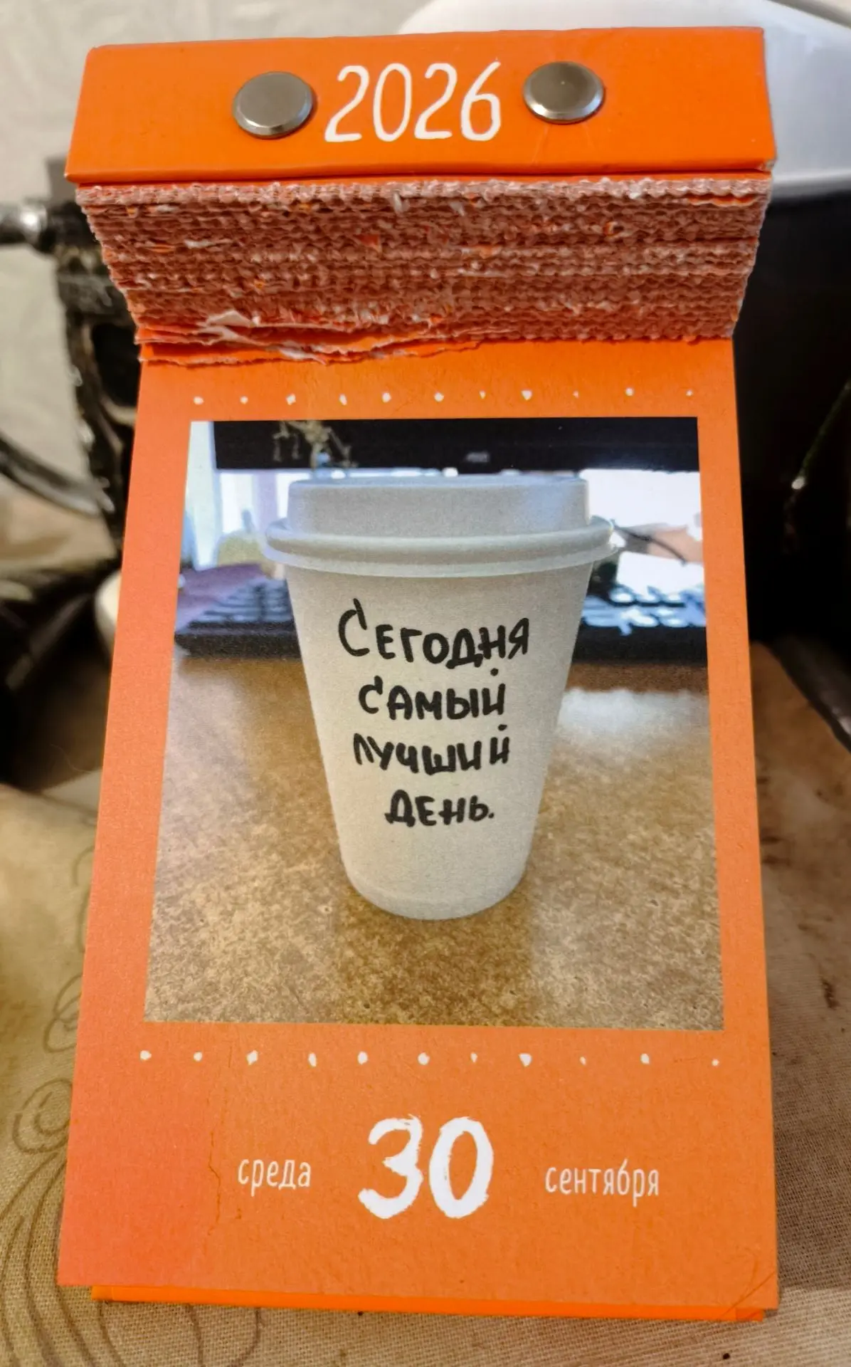 #ЗнакиВселенной