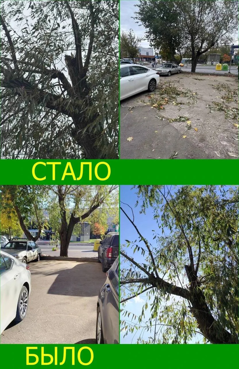 🛠️ В Чертаново Центральном привели в порядок несколько дворов и подъездов