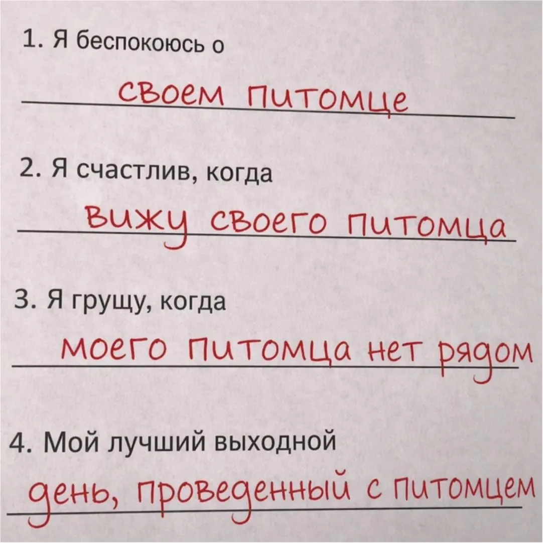 Анкета любого владельца питомца 🤭