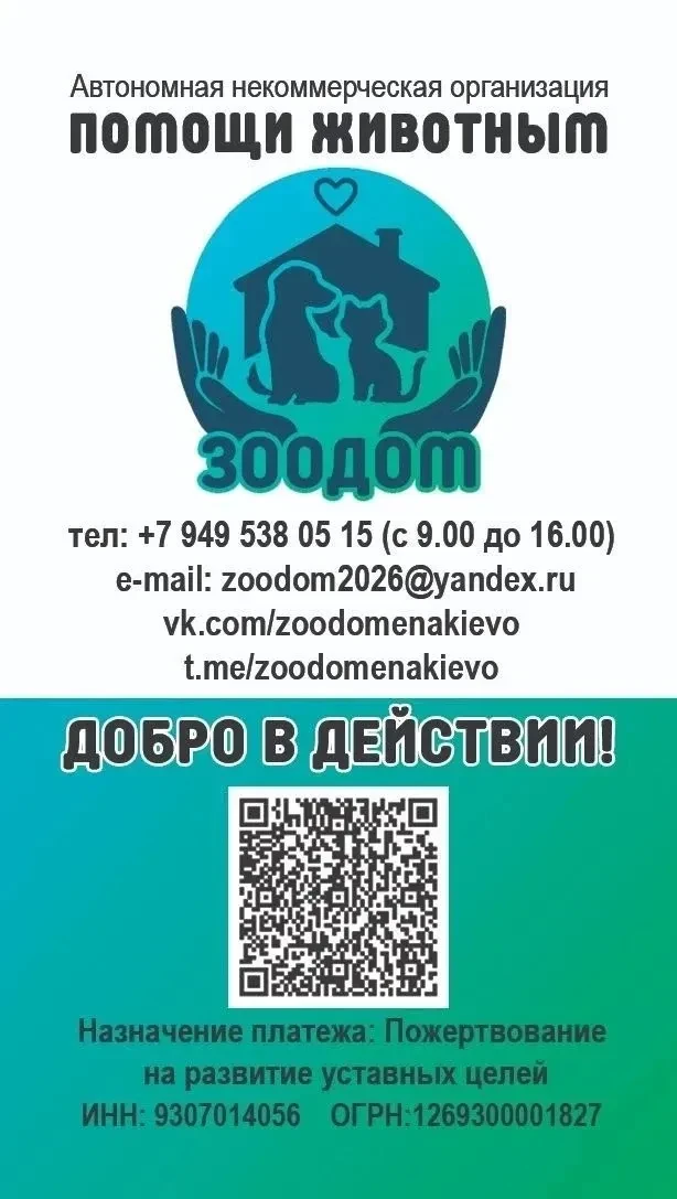 🐶Автономная некоммерческая организация "ЗооДом"