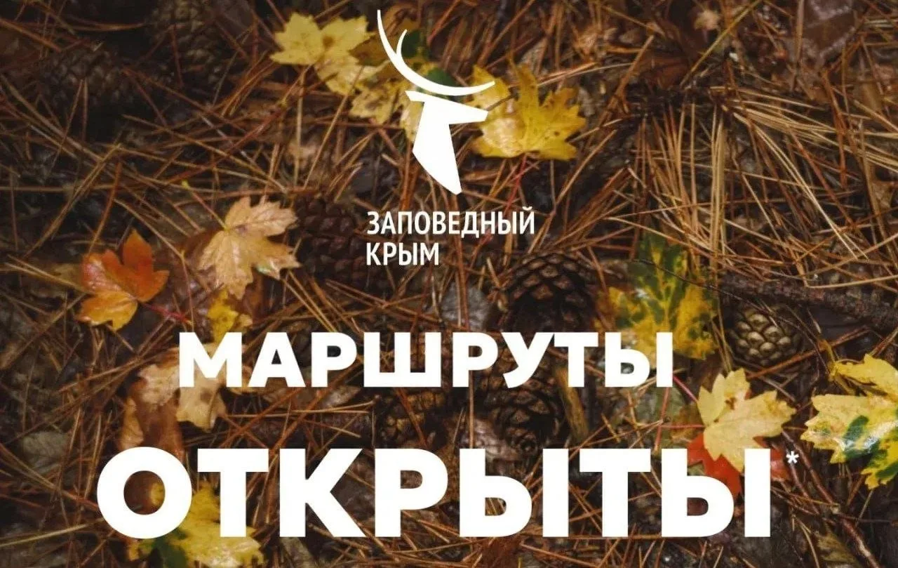 В Ялтинском заповеднике сняли запрет на посещение экотроп и туристических маршрутов. Об...