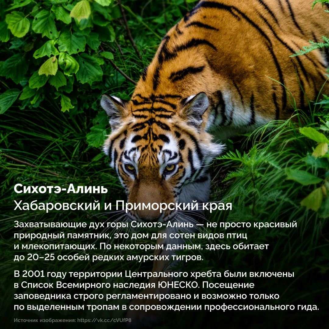 ✨ Откуда начать знакомство с богатой природой России?  Собрали в карточках уникальные заповедные мес