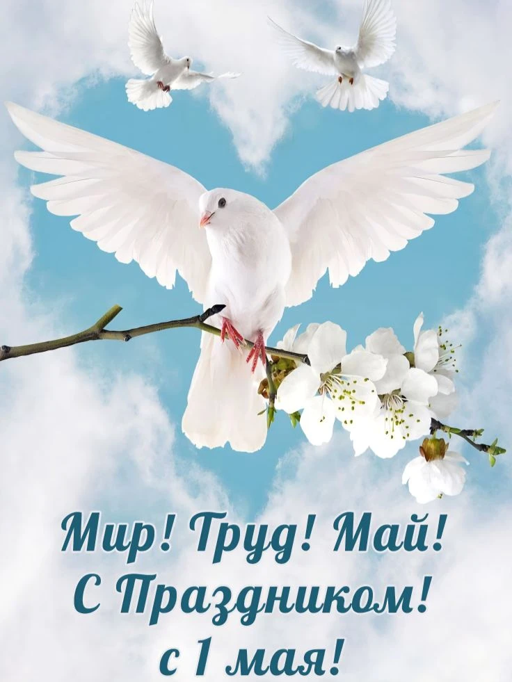 С праздником, дорогие друзья! 🌿

1 Мая — это не просто выходной, это символ обновления, уважения к 