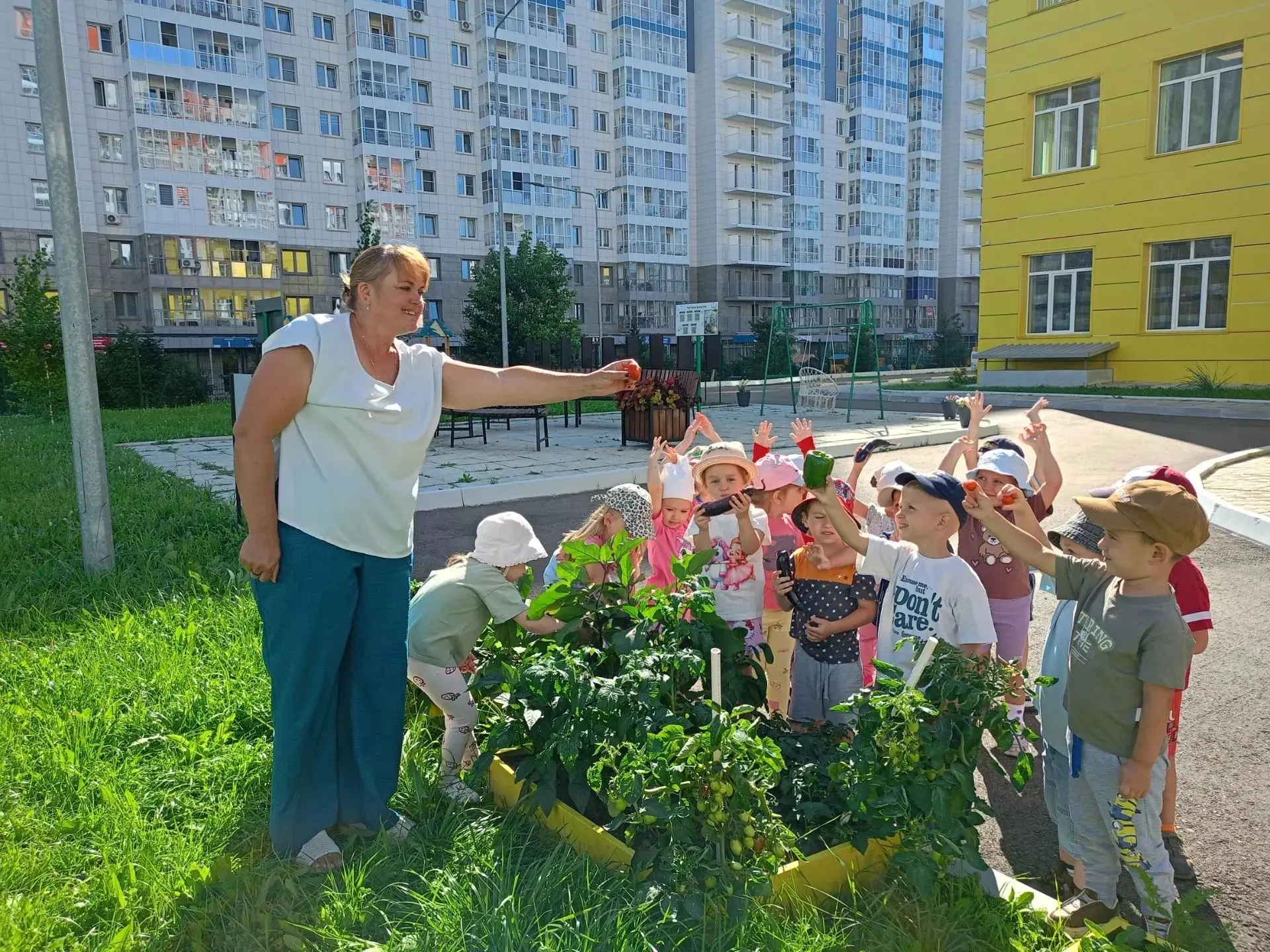 Август в красноярских детских садах - время уборки урожая. Пока на грядках поспевают ов...