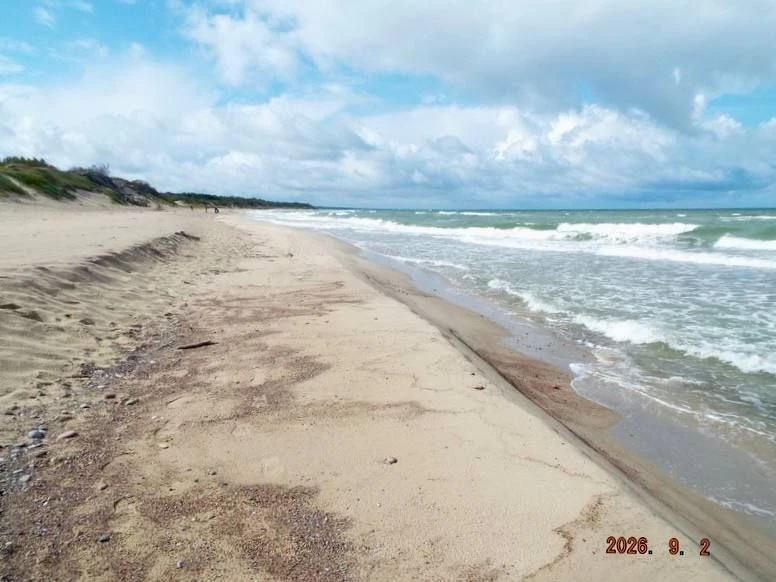 Куршская коса в нацпарке — каждый снимок словно открытка! 😍🌊💙