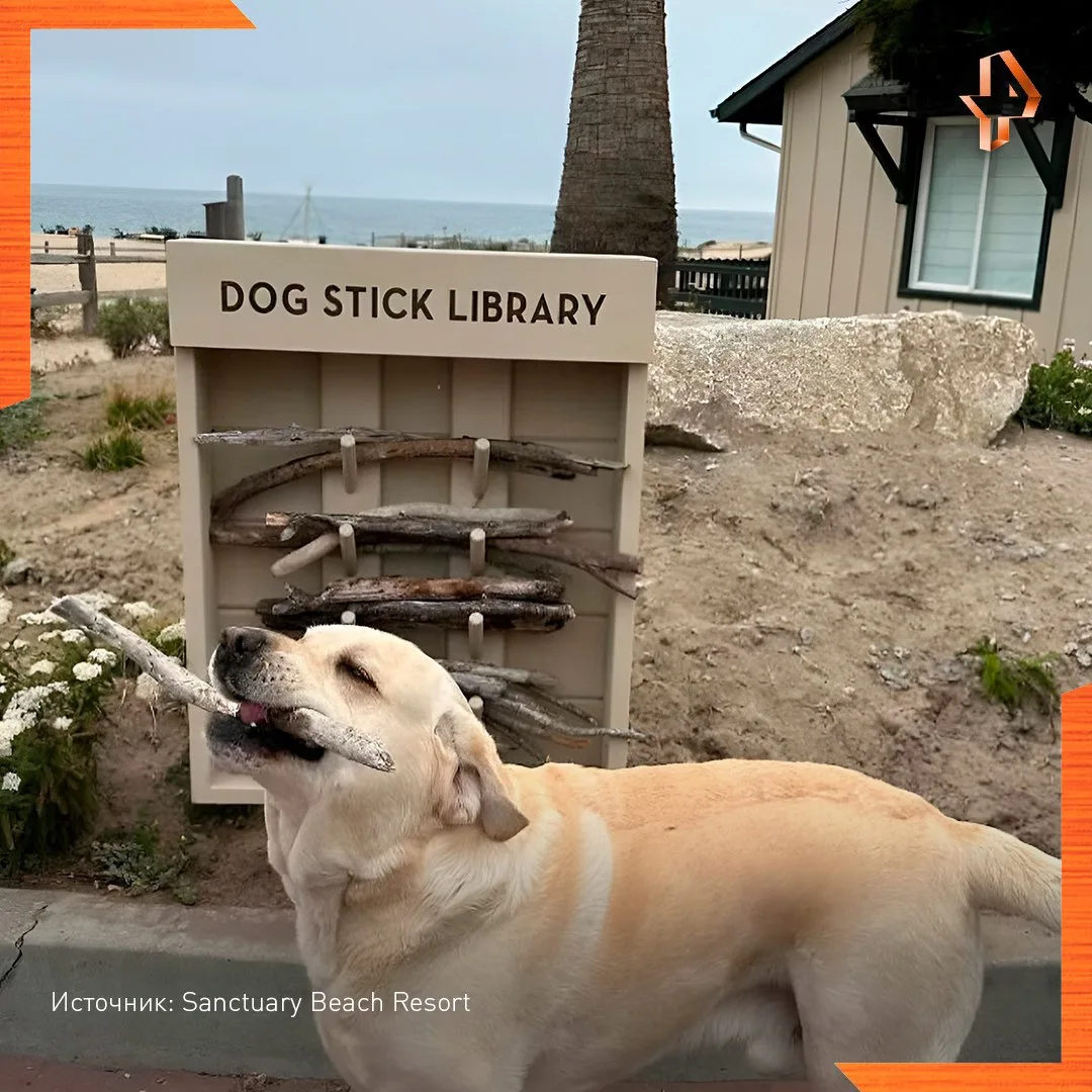 🐕На одном из пляжей Калифорнии есть библиотека… для собак.