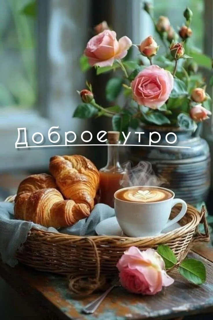✨✨✨
...Жизнь с утра начинайте с улыбки,
Во "вчера" оставляя ошибки,
С доброты и тепла, веры в сказку
