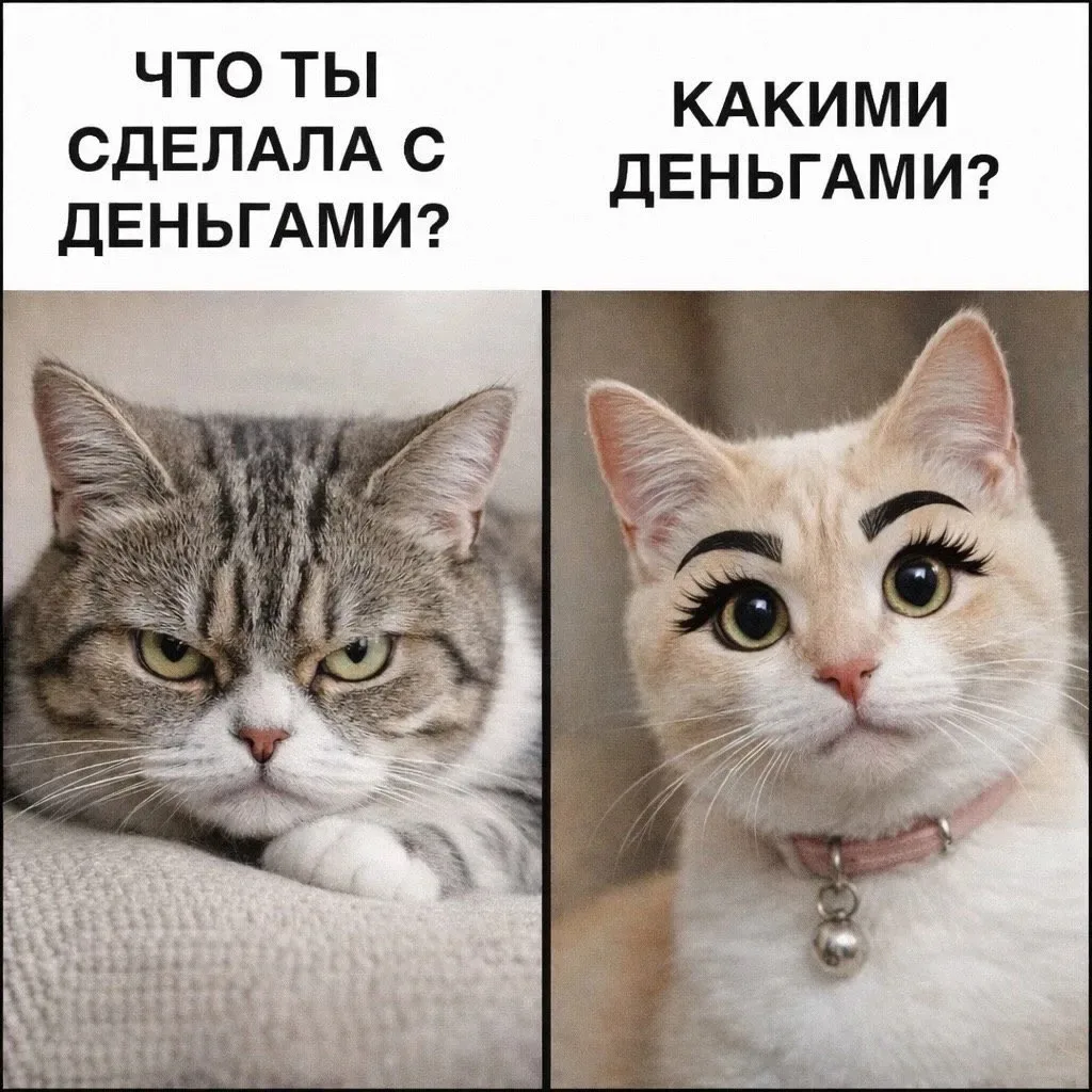 Скинула подружкам этот канал и теперь они рыдают от смеха 🤣

Тетя Фанни - лучшая подборка женского 