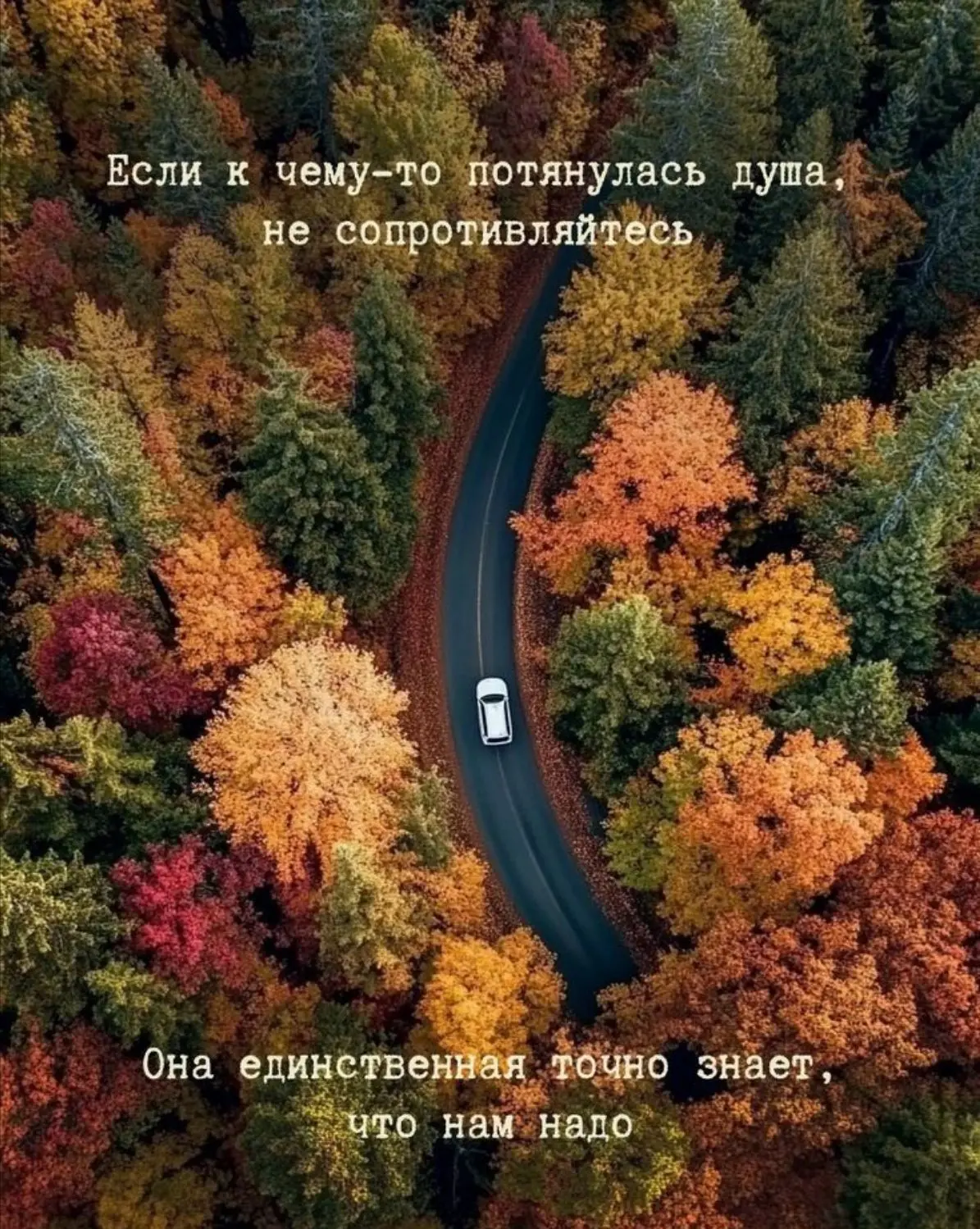И правда же..