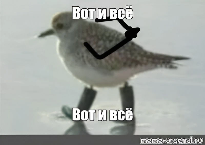 С сегодняшнего дня в России ограничили параллельный импорт ноутбуков, компьютеров, комп...