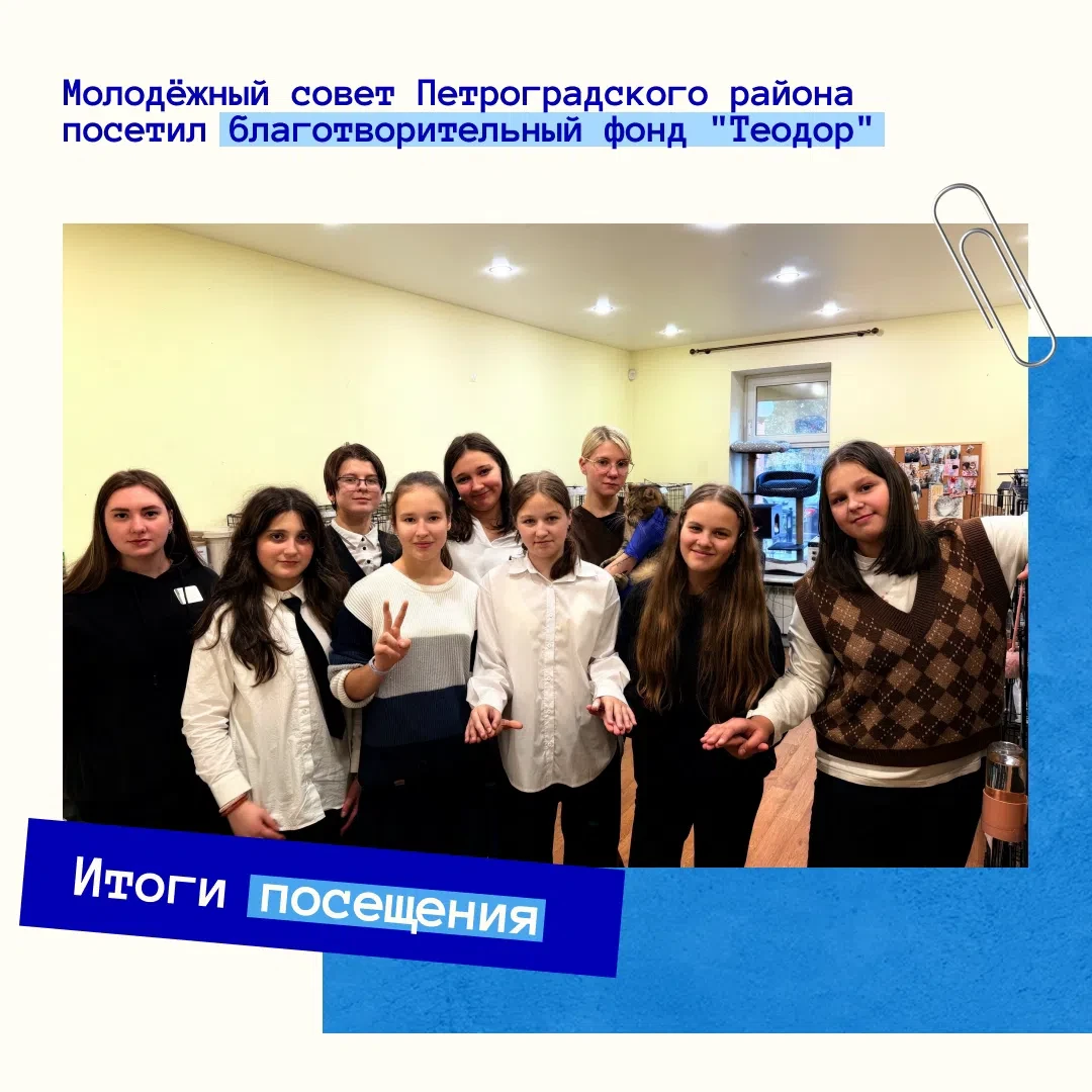 🐈 В друзьях у братьев наших меньших