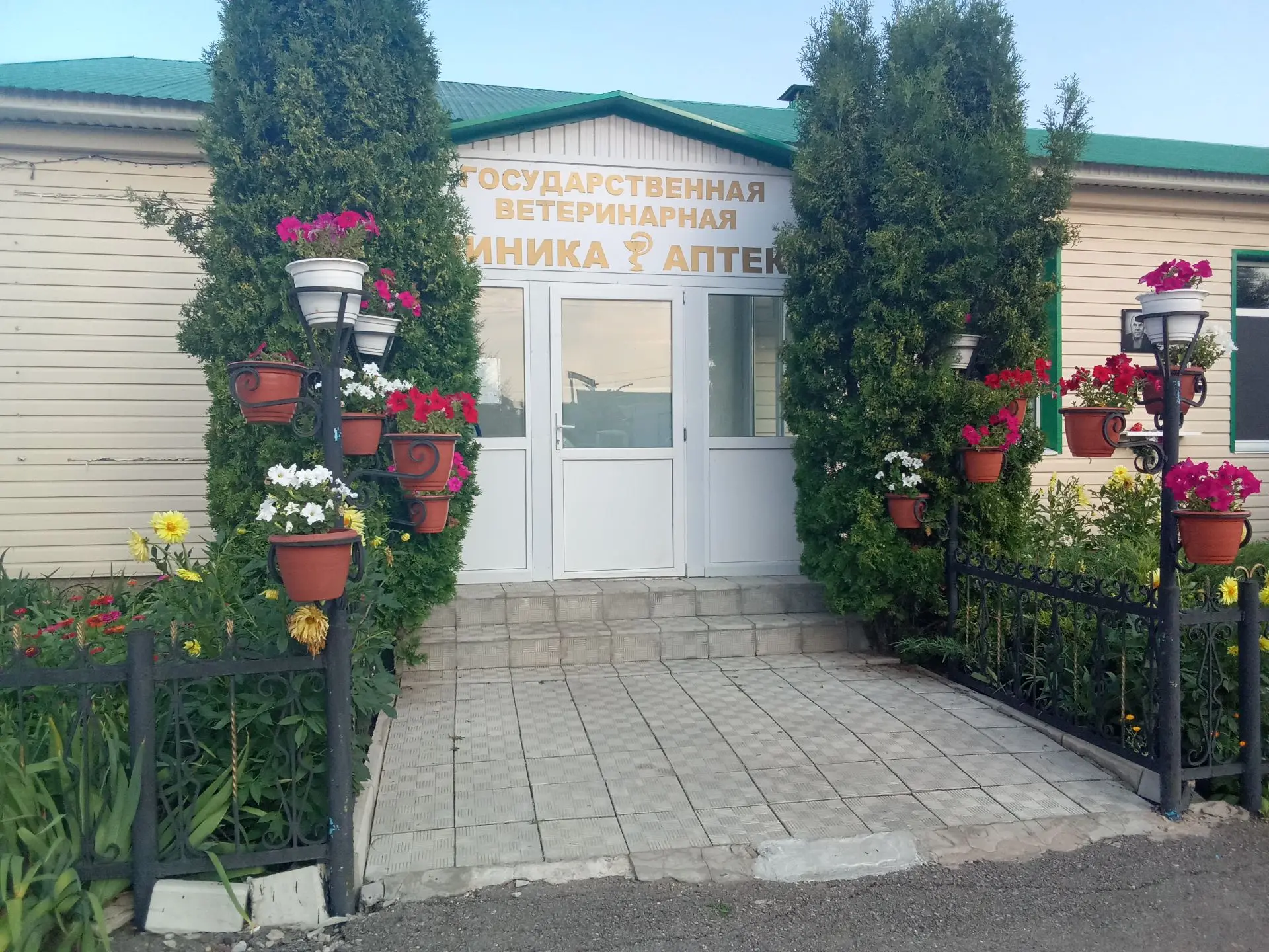 💚Стерилизация животных - социальная необходимость

💯Сотни рождённых дома котят🐈 и щенков🐕 станов