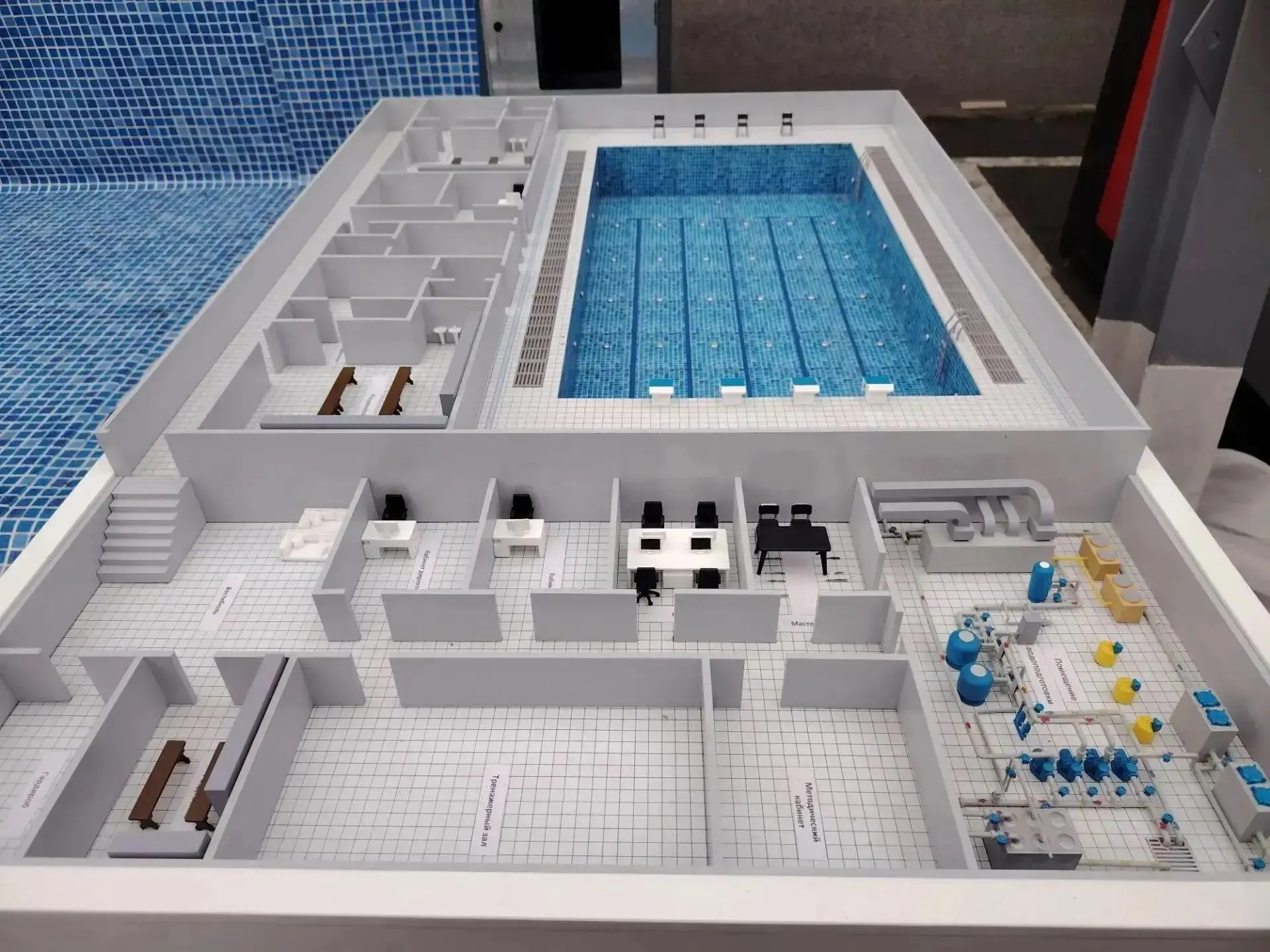🏊 Модульный плавательный бассейн презентовали в Чите на форуме «Строим Забайкалье»