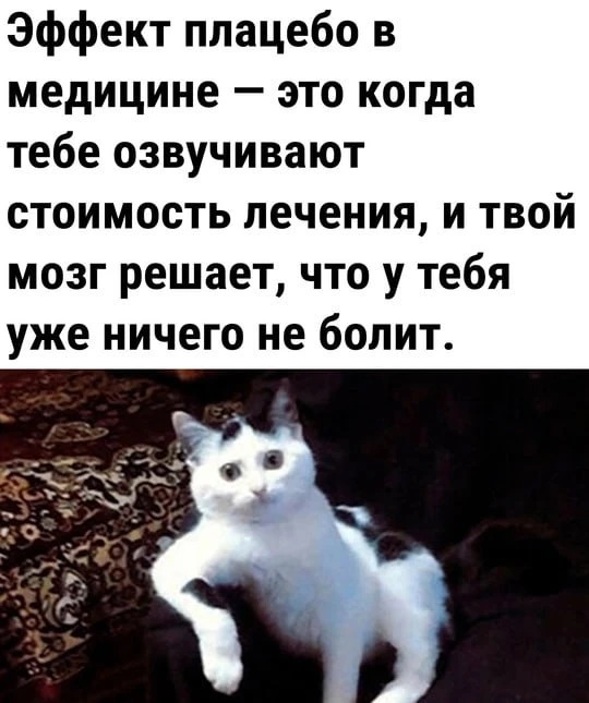 мемы / приколы / юмор / смешно