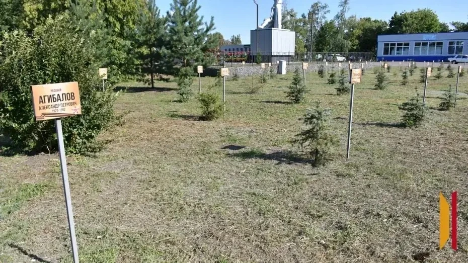 Сквер верхнемамонского села Русская Журавка благоустраивают активисты ТОС
