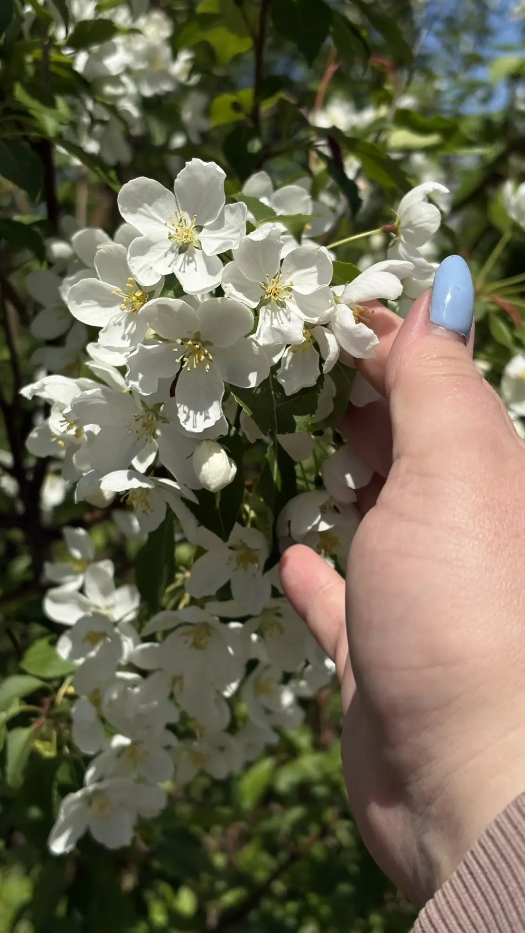 Ну ляяяя🥰🥰🥰