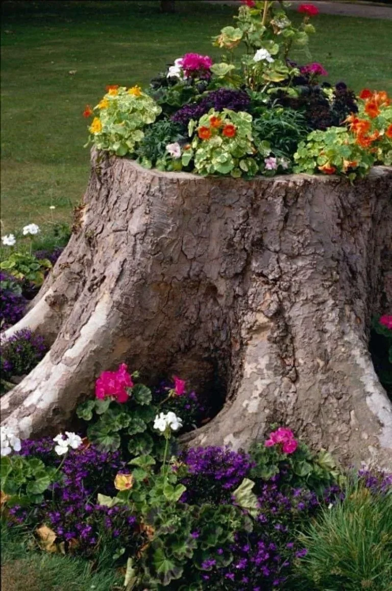 Идеи декора из пней 🌳