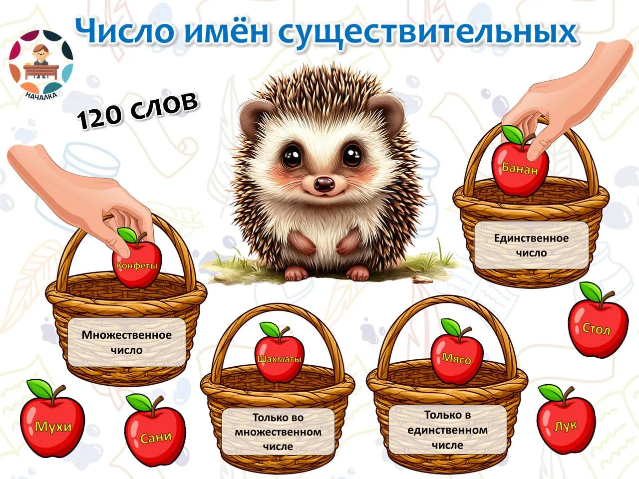 Число имён существительных:

✅ в единственном числе
✅ во множественном числе
✅ только в единственном