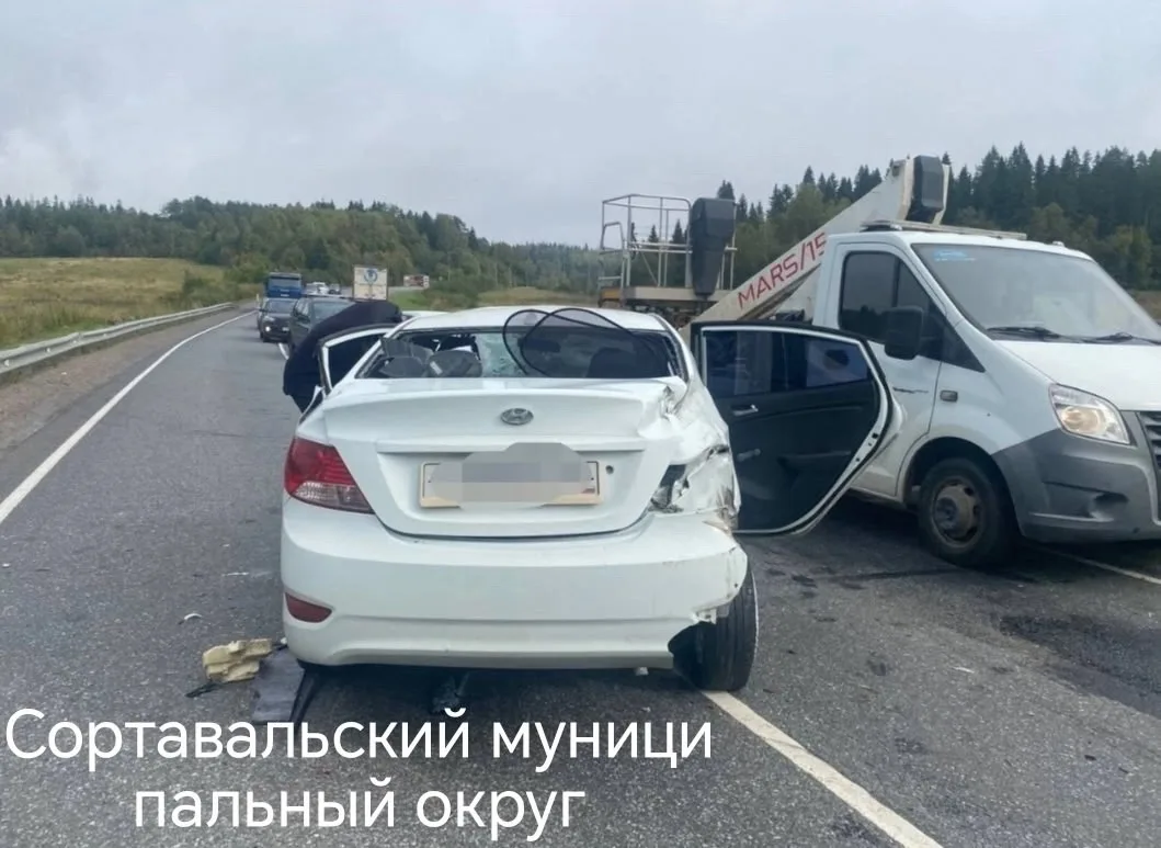⚪️ Житель Мурманской области совершил ДТП на трассе в Карелии
