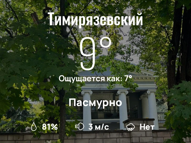 Что с погодой в Тимирязевском?