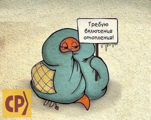 Доброго дня 🙏. На дворе 4 октября, температура ночью опустилась почти до нуля. Мы прож...
