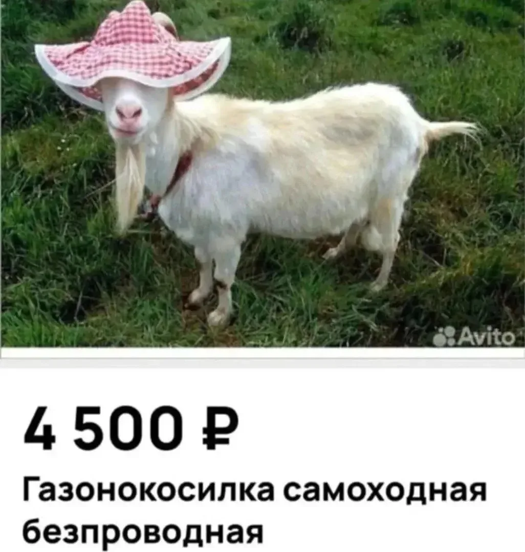 Торг 😄